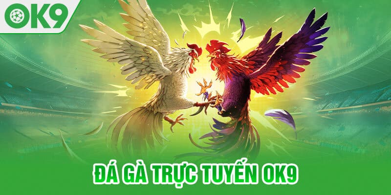 Quy định thắng thua trong cược đá gà