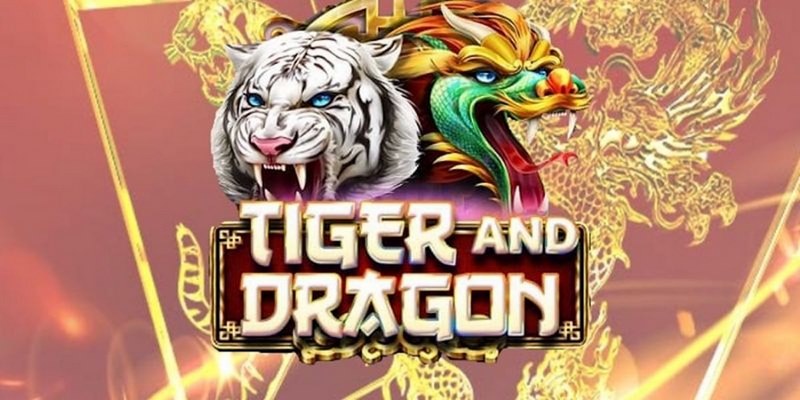 Chi tiết nguyên tắc sử dụng tool hack Dragon Tiger