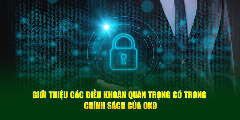 Giới thiệu các điều khoản quan trọng có trong chính sách bảo mật của OK9