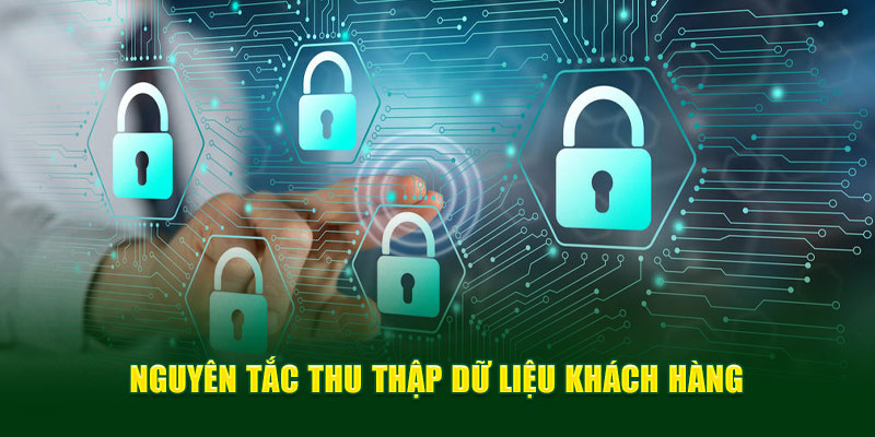 Cách thức thu thập tệp khách hàng