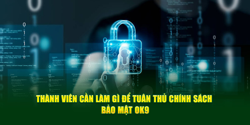 Thành viên cần làm gì để tuân thủ chính sách bảo mật OK9?